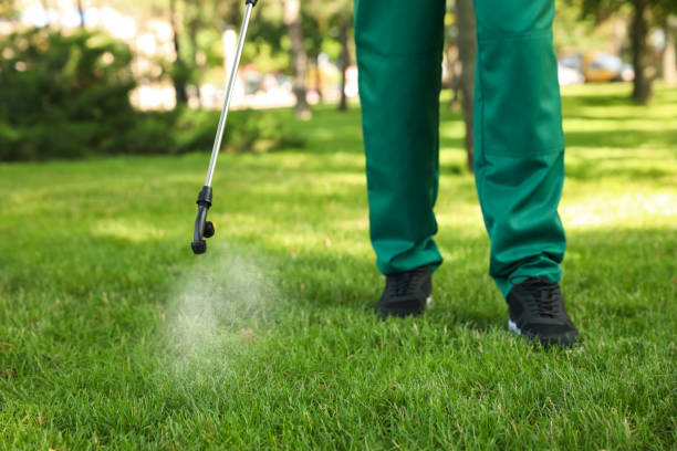Best Affordable Pest Control Services  in South San Gabriel, CA