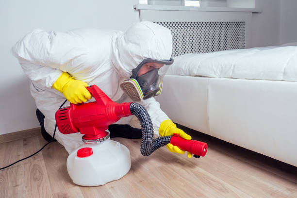 Best Cockroach Control Services  in South San Gabriel, CA