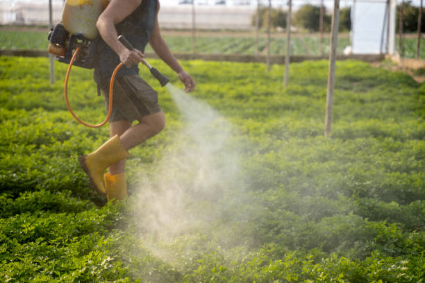 Best Wildlife Control Services  in South San Gabriel, CA